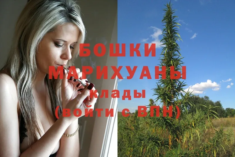 Бошки Шишки White Widow  сколько стоит  Ирбит 